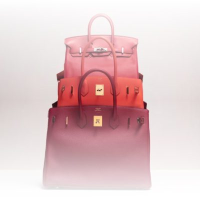 The best and most luxurious investment Bags!