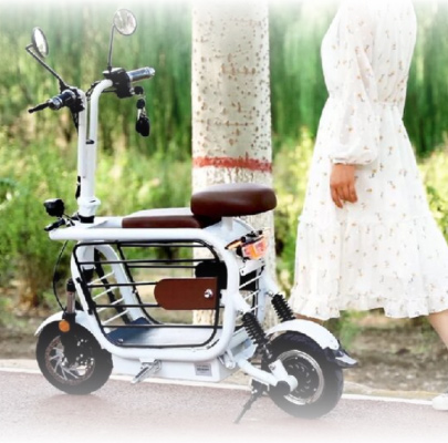 MOPET, the best transport option for the environment, you and your puppy