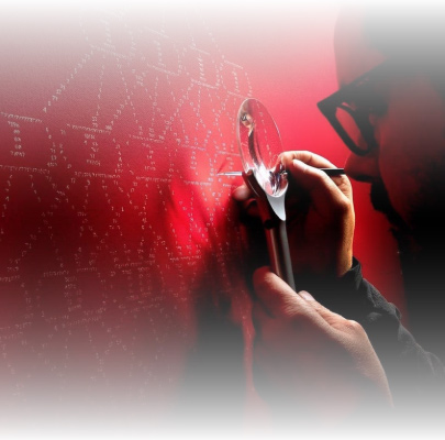 Artists’ Container, a network showcase of creativity and talent