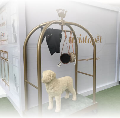 Aristopet celebrates the king of the house with its Dog Day