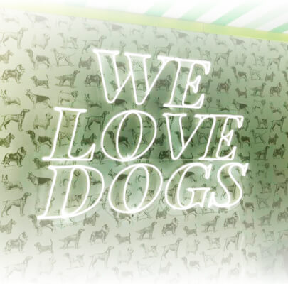 Aristopet celebra al consentido de la casa con su Dog Day