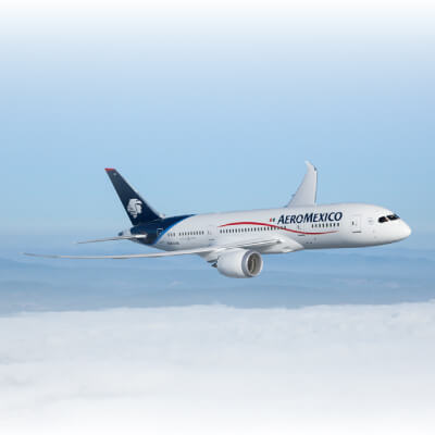 The best way to fly is on board a Boeing 787 Dreamliner