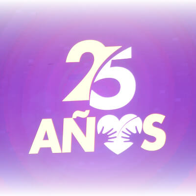 Teletón 25 años de magia y unión por México