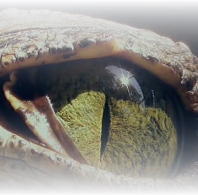 Discover the wildest places on the planet