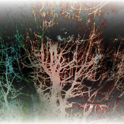 Autonomías desde la creación en el Museo Casa León Trotsky