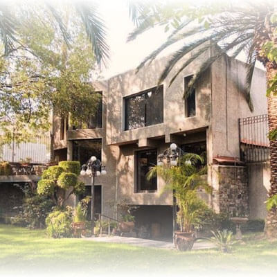 Art Nights Experiences by Xitle Art Week