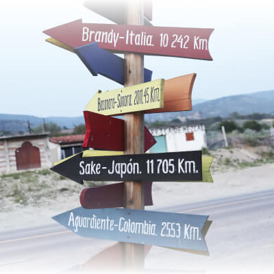 Matatlán Oaxaca la capital del Mezcal y la cuna del Mal de Amor