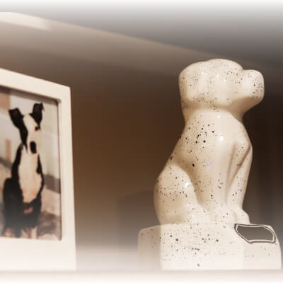 Un adiós cálido y empático para despedir a tu mascota