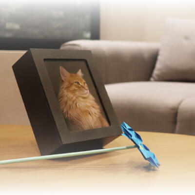 A warm and empathetic farewell to say goodbye to your pet