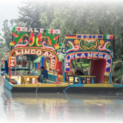 Celebra el fin de semana más mexicano con Pug Seal