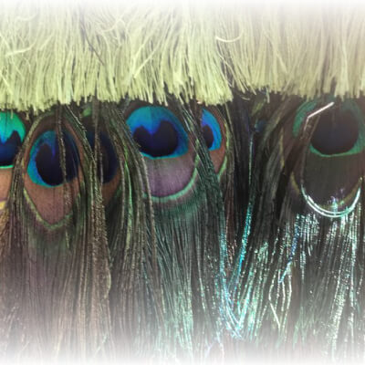 Enjoy the grandest and ORIGINAL meeting of Mexican textile art