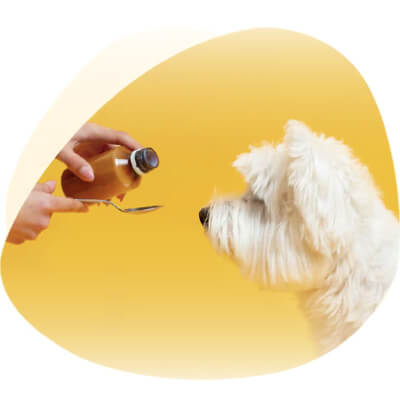 Todo lo que necesitas para el bienestar integral de tu mascota