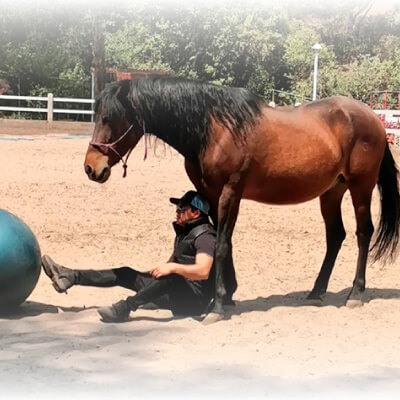 Mejora tu calidad de vida al convivir con un caballo