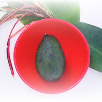 Descubre la magia de las hojas de aguacate