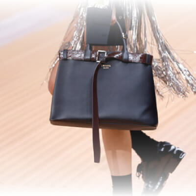 Eclectic details on the Prada Buckle bag