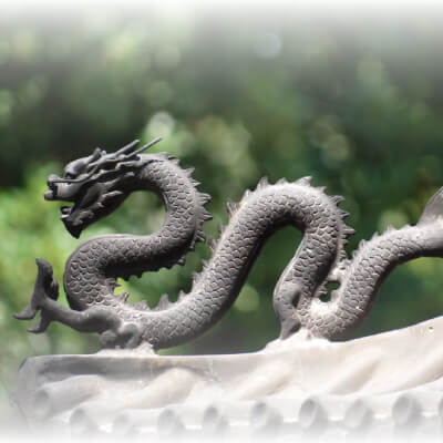 The power of the dragon