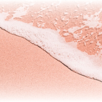 Peach Fuzz, Pantone 2024, and its shades and trends