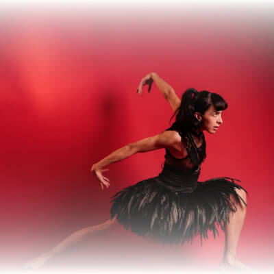 El Cisne Negro en el Castillo de Chapultepec