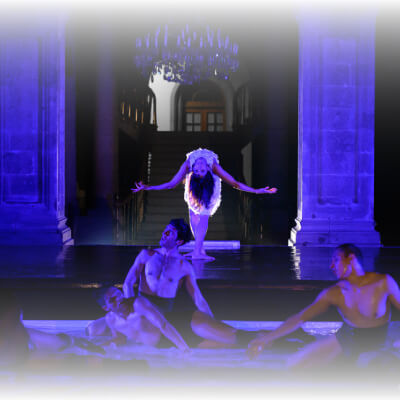 The Black Swan at Chapultepec Castle