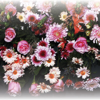 De Coyoacán con amor, un homenaje a grandes mujeres de valor