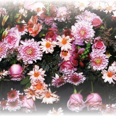 From Coyoacán with love, a tribute to great women of value