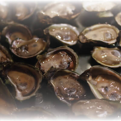 The new local culinary treasure in Mexico City