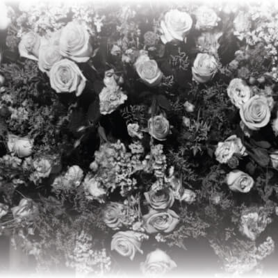 Statement View on a towering birthday