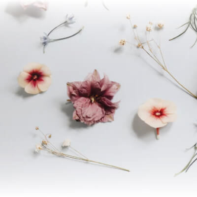 El encanto de Dubái en tu perfume