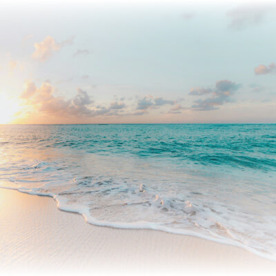 Lleva la escencia del verano a flor de piel