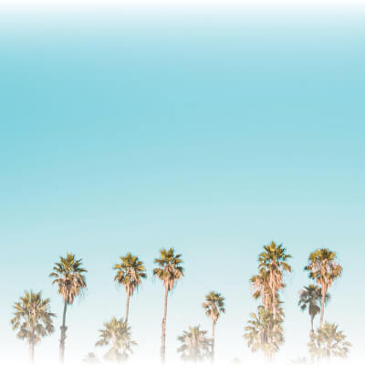 Bring the essence of summer to the surface