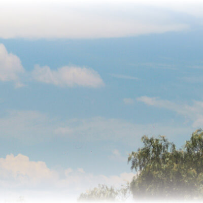 Your best allies against the heat