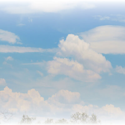 Tus mejores aliados contra el calor