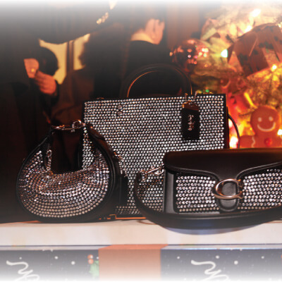 Coach Holiday House, una experiencia extraordinaria