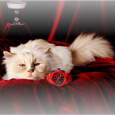 Choupette la estrella del 20 aniversario de Big Bang de Hublot