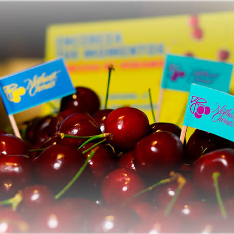 Cuatro razones para aprovechar la temporada de cerezas