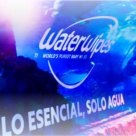 WaterWipes: pureza y cuidado desde el primer contacto