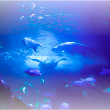 WaterWipes: Purity and Care from the Very First Touch