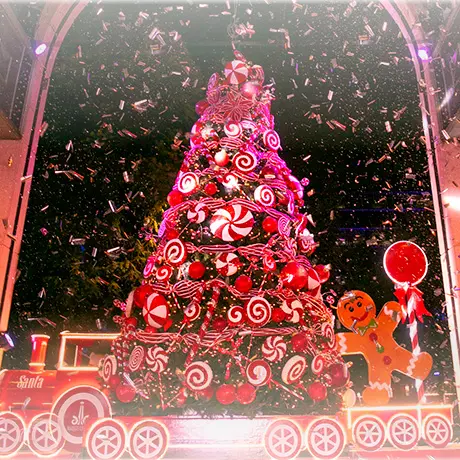 A lighting ceremony that felt like a collective performance