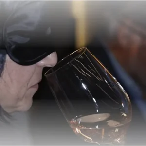 Barton & Guestier en Polanco: El Arte de Compartir Vinos cata a ciegas