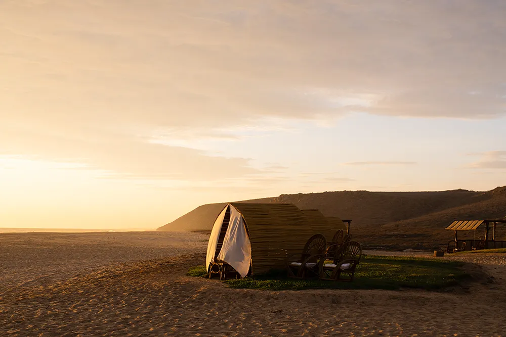 Playa en Todos Santos durante un retiro wellness