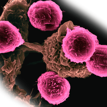 _National-Cancer-Institute_